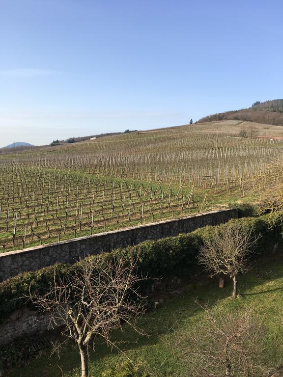 فيلا Dambachفي Beck Domaine Du Rempart المظهر الخارجي الصورة