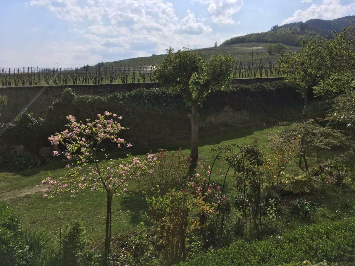 فيلا Dambachفي Beck Domaine Du Rempart المظهر الخارجي الصورة